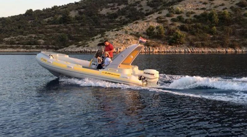 Baracuda 20