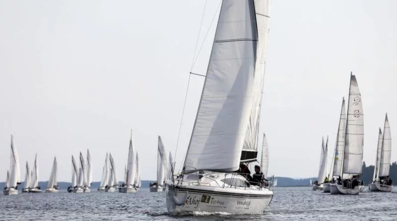 Maxus 33.1 RS Standard