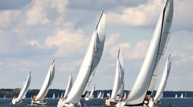 Maxus 33.1 RS Standard