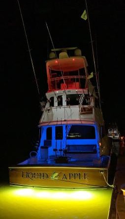 Viking Enclosed Bridge