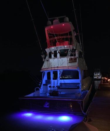 Viking Enclosed Bridge