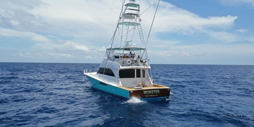 Viking 61 Convertible