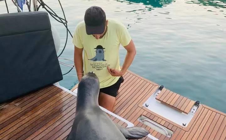 Jeanneau Sun Odyssey 440