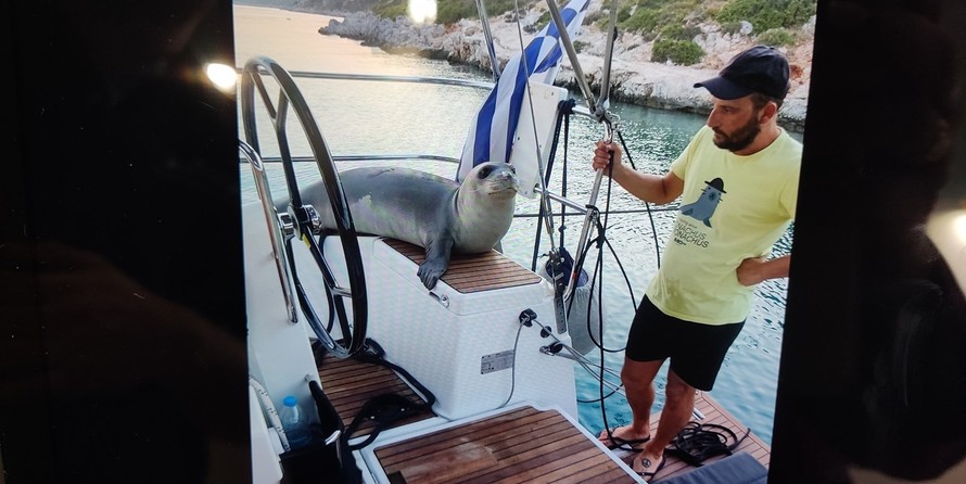 Jeanneau Sun Odyssey 440