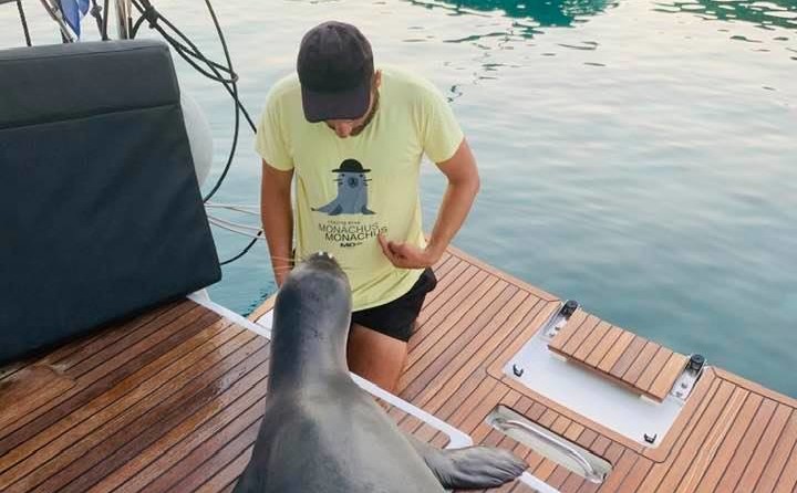 Jeanneau Sun Odyssey 440