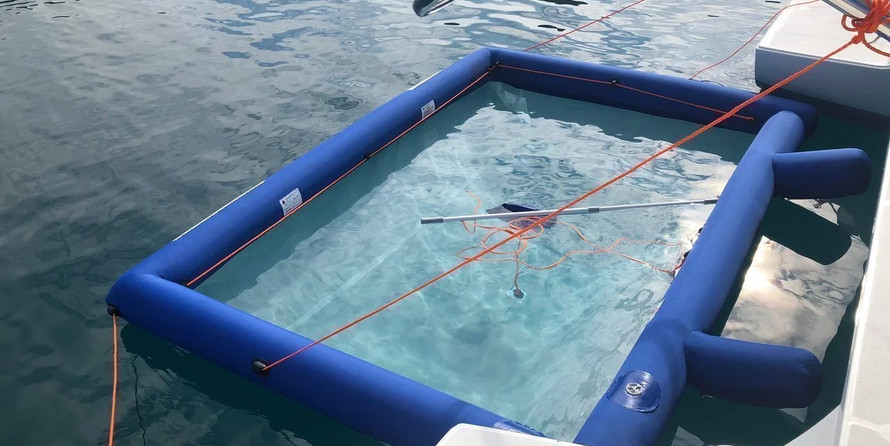 Lagoon 450 S