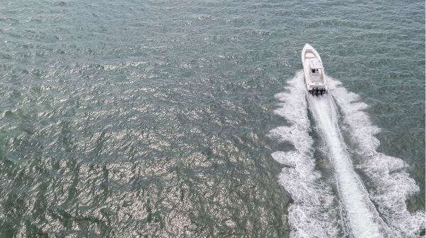 Fountain 38 center console te