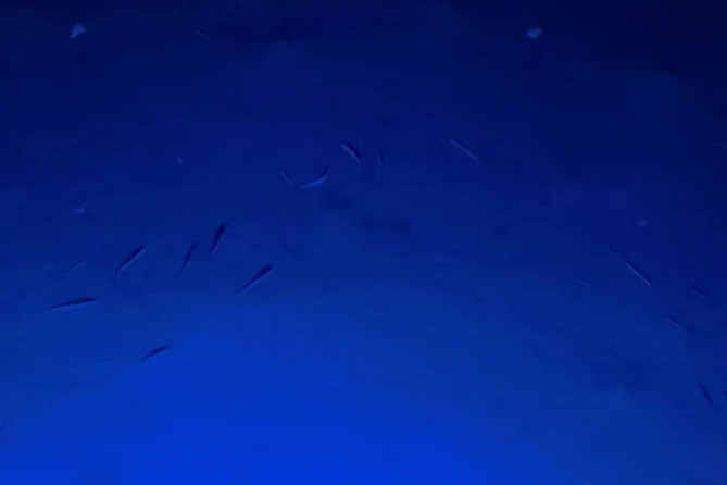 Beneteau Oceanis 46.1