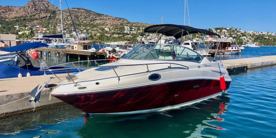 Sea Ray 240 Sundancer