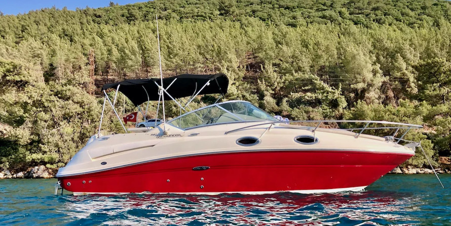 Sea Ray 240 Sundancer