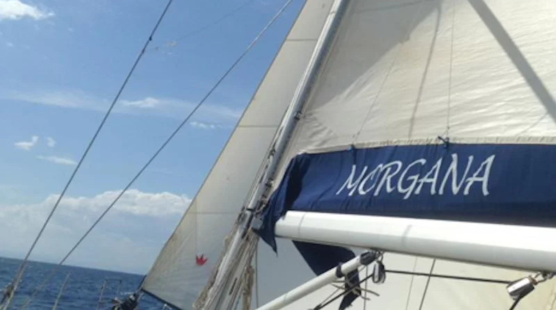 Bavaria 44