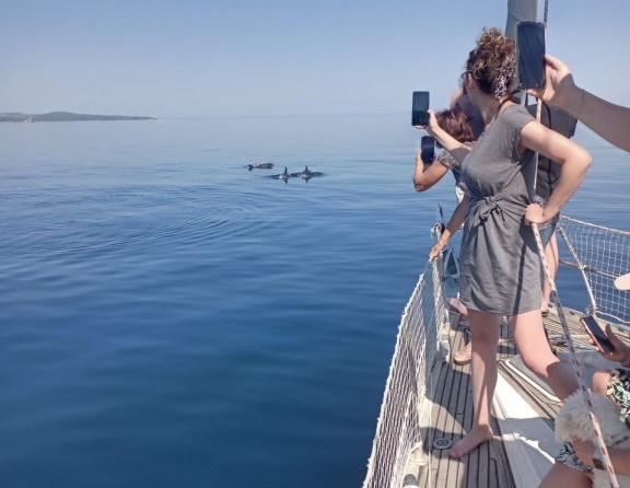 Jeanneau Sun Odyssey 47