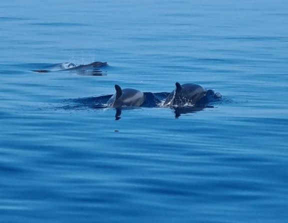 Jeanneau Sun Odyssey 47