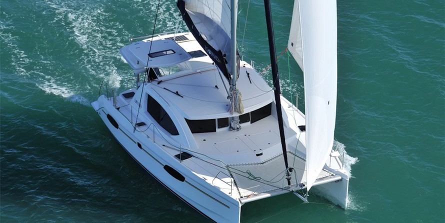 Leopard 40