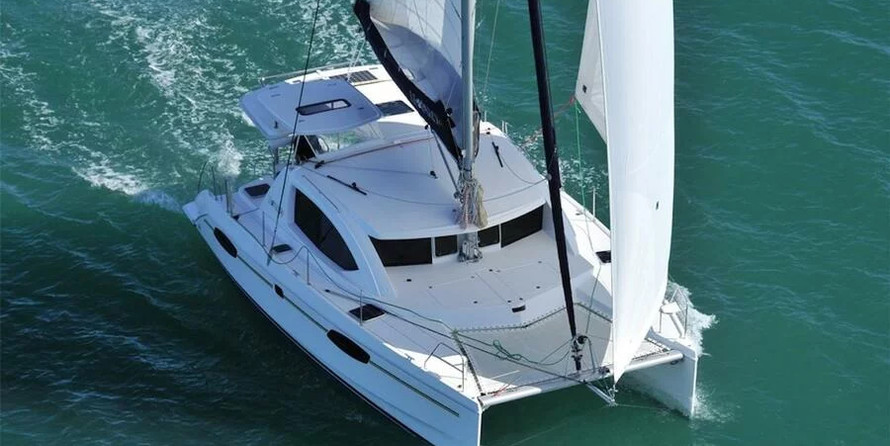 Leopard 40