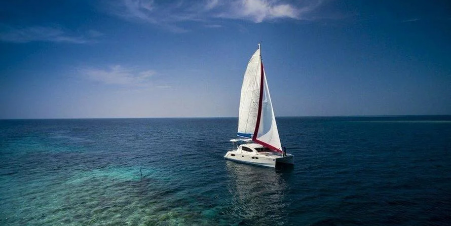 Leopard 384 - 4 + 2 cab.