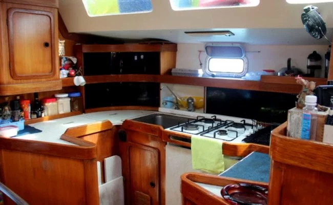 Alliaura Marine Feeling 446