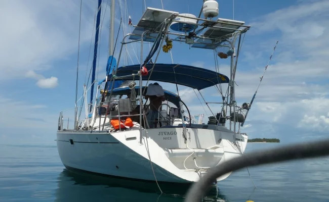 Alliaura Marine Feeling 446