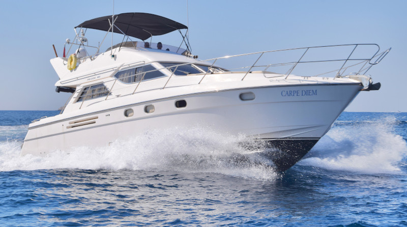 Princess 480