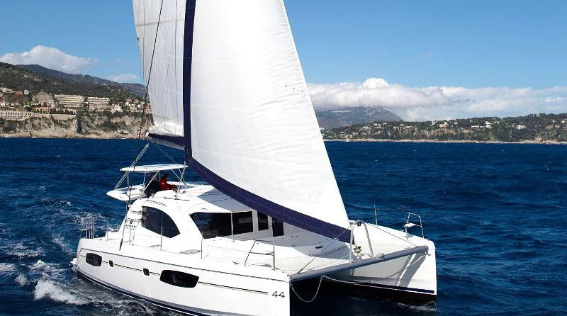 Leopard 44