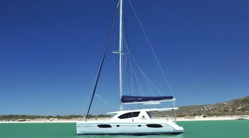 Leopard 44