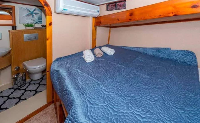 Princess V50 (1998-2005)