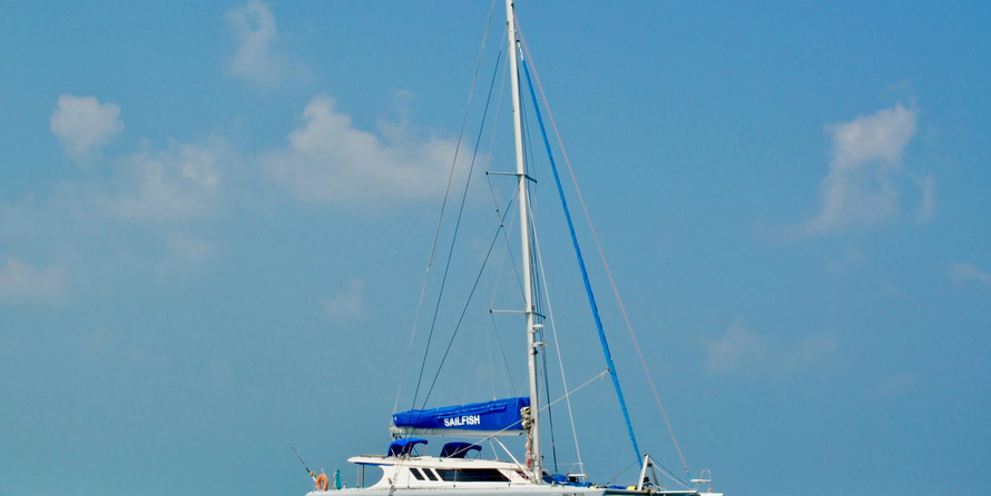 Sailfish 480