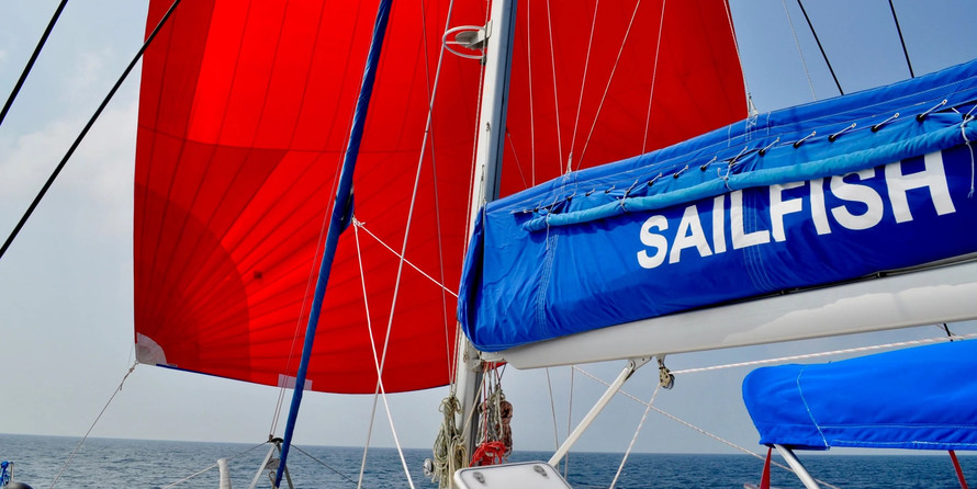 Sailfish 480