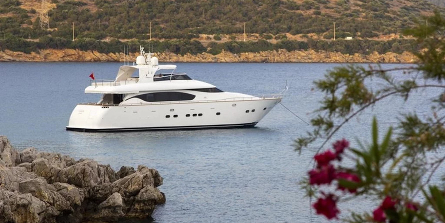 Maiora 24