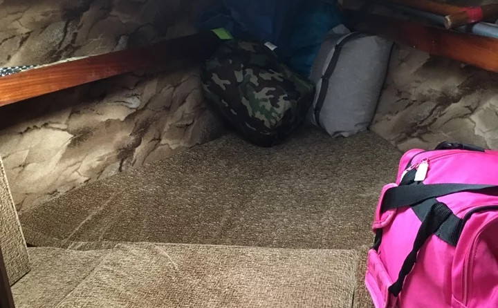 Duffy 22 Sun Cruiser