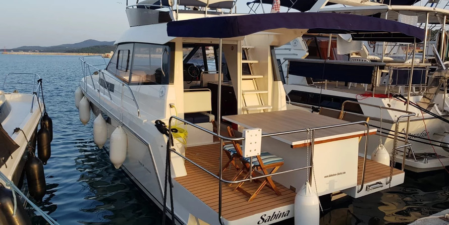 Delphia Platinium 989 Fly