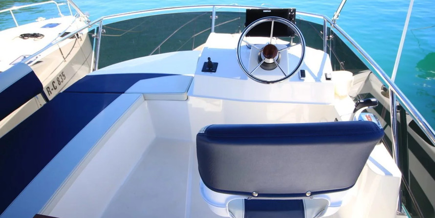 Delphia Platinium 989 Fly