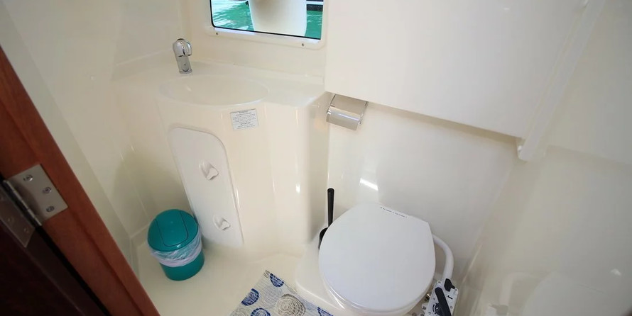 Delphia Platinium 989 Fly