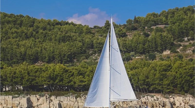 Elan Impression 50