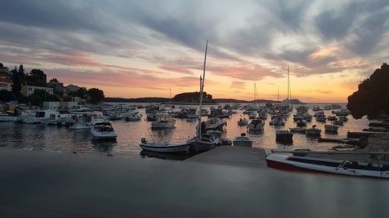 Pasara 8