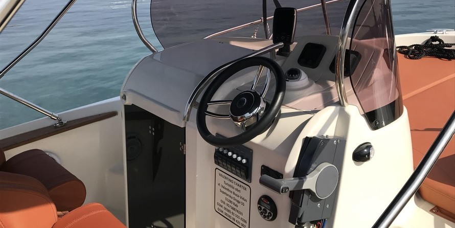 Fisher 20