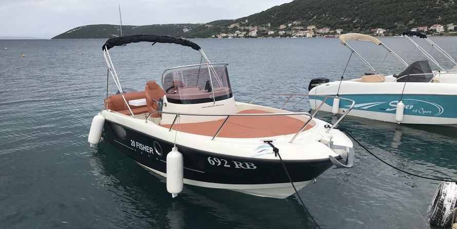 Fisher 20