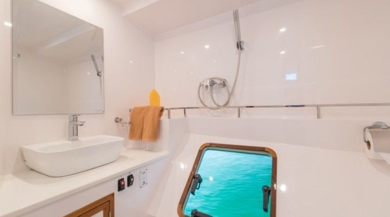 Morgan out island 41