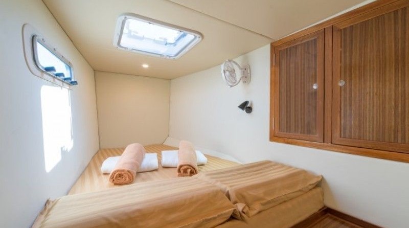 Morgan out island 41