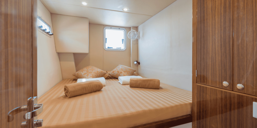 Morgan out island 41