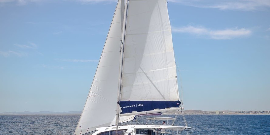 Leopard 40