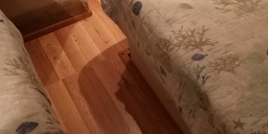 Sea ray 390 express cruiser