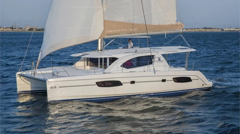 Leopard 44