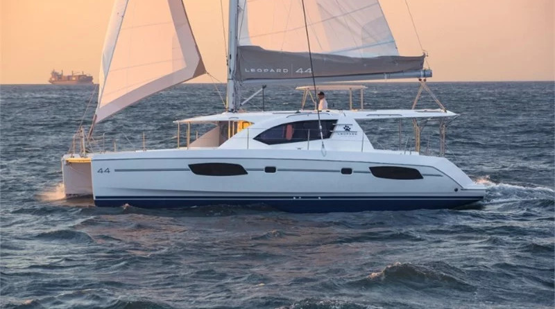Leopard 44