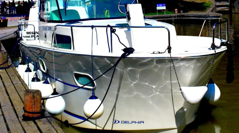 Delphia Escape 800