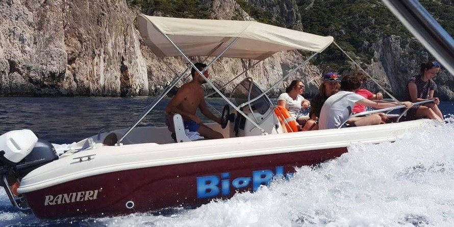 Ranieri international shadow 19