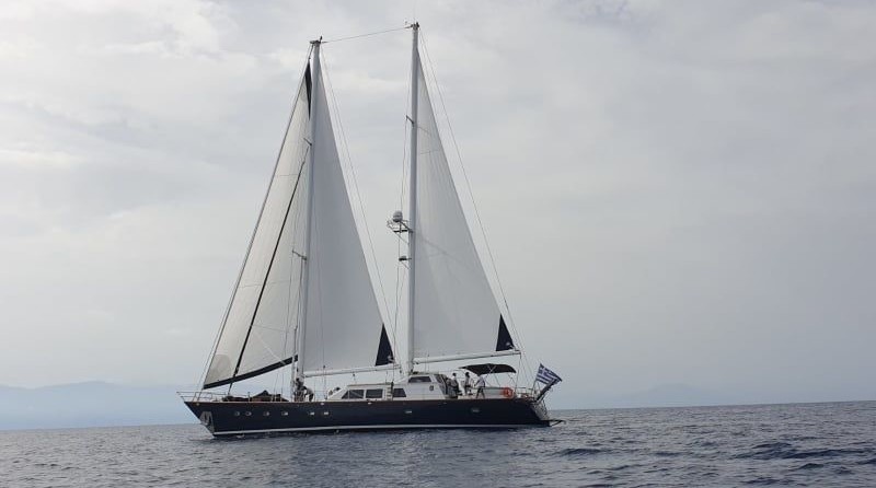 CCYD 85