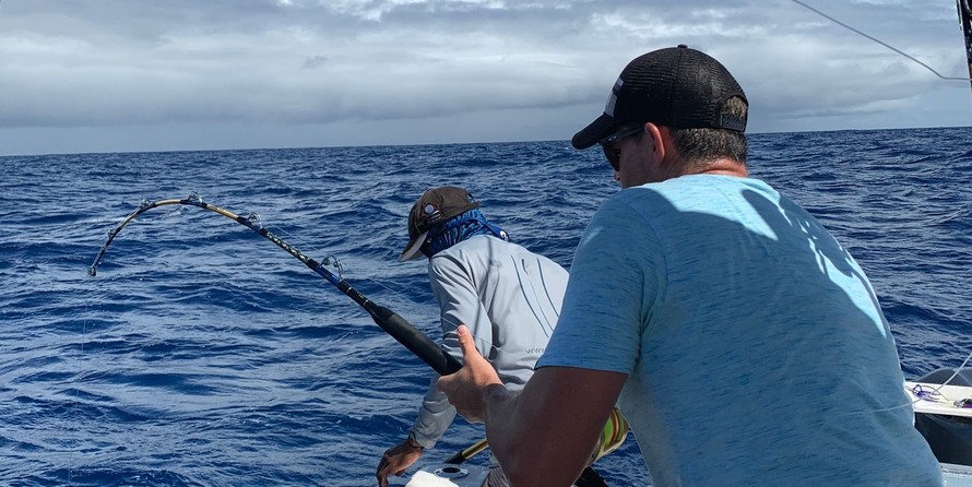 328 Sea Fox Commander