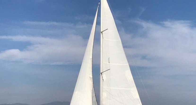 Harmony 38