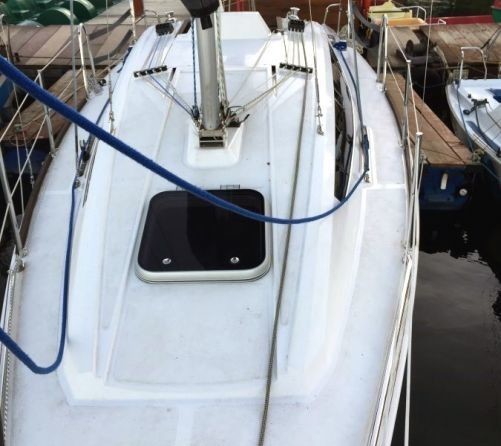 Northman Maxus Evo 24